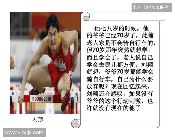 体育明星属相排名揭示运动员性格与成就的深层联系与影响分析 体育明星属相排名揭示运动员性格与成就的深层联系与影响分析