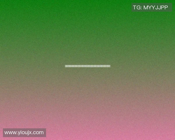 全面解析足球赛事数据网站助力球迷掌握实时比赛动态与历史统计信息