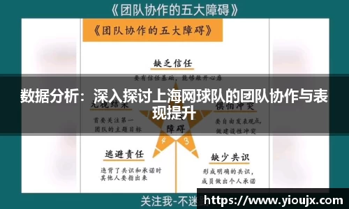 数据分析：深入探讨上海网球队的团队协作与表现提升